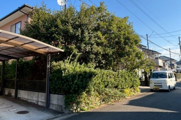 伊予市・T様邸_剪定・草刈り_施工前