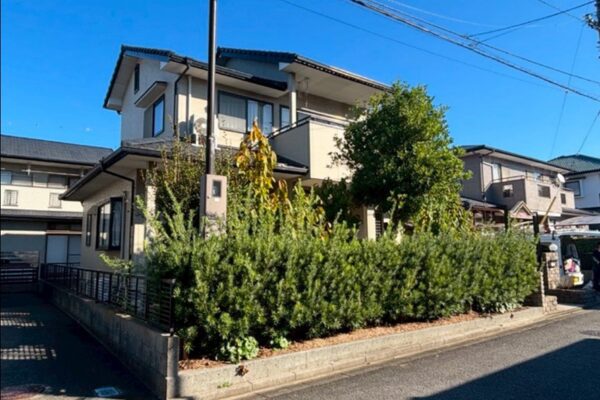 伊予市・K様邸_ツゲ椋木ムクゲ剪定・伐採_施工前