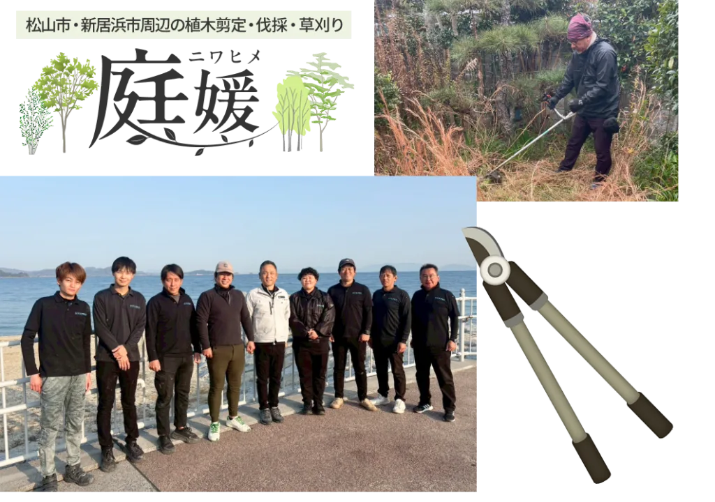 松山市・新居浜市周辺の植木剪定・伐採・草刈り 庭媛