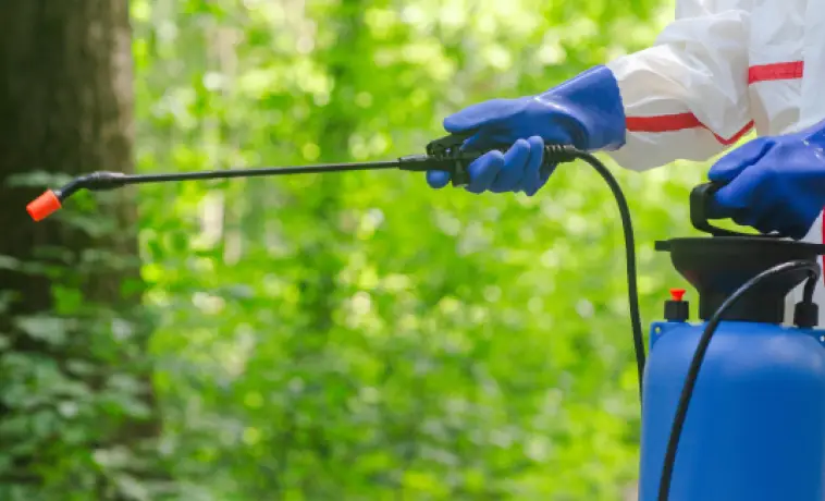 薬剤を散布している写真