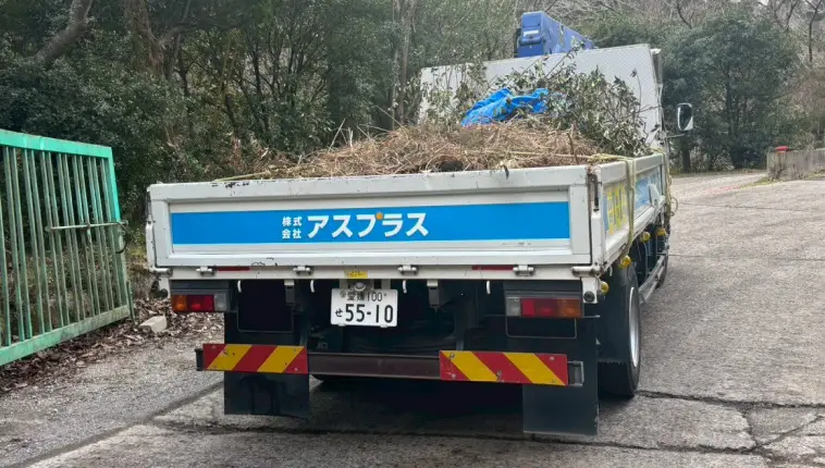 伐採した樹木をトラックで運搬
