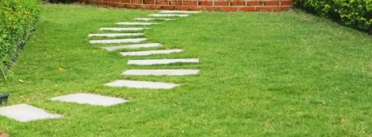 芝生のある庭の写真