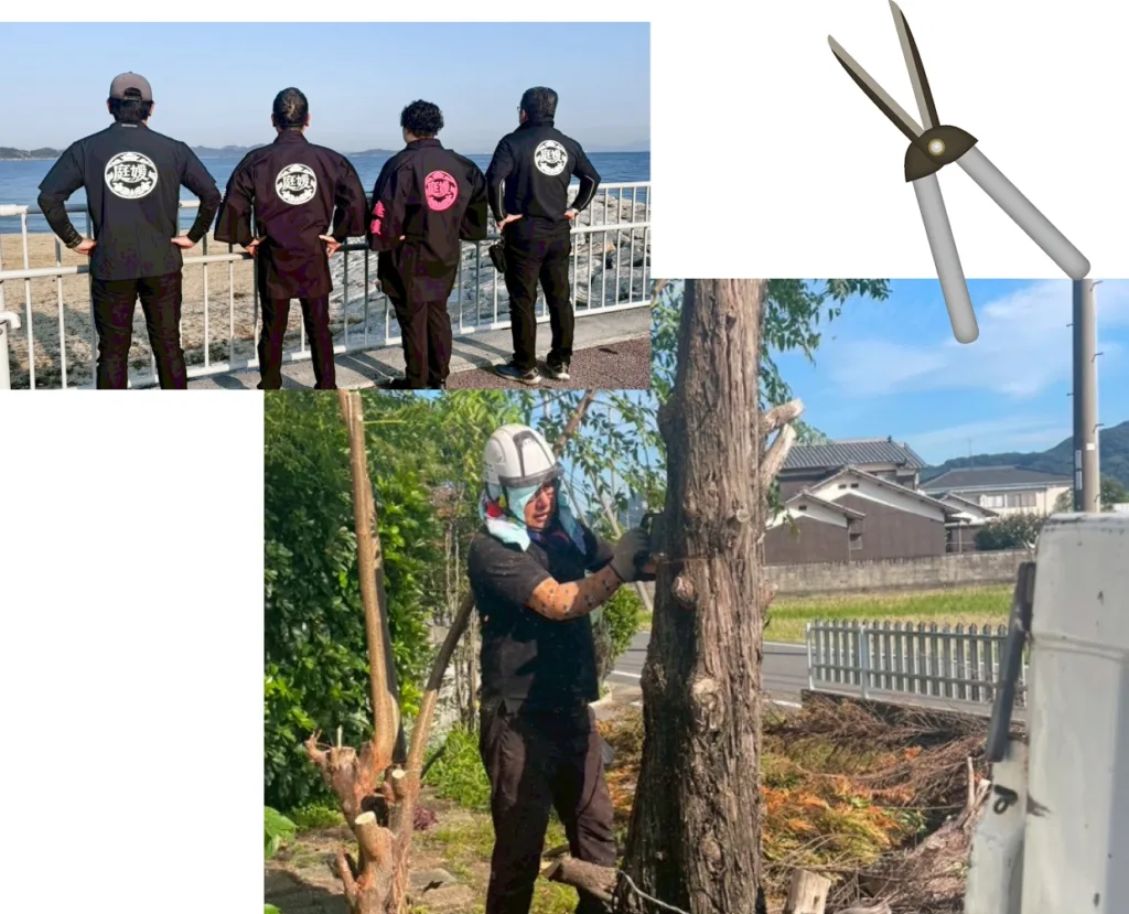 庭木の伐採・剪定