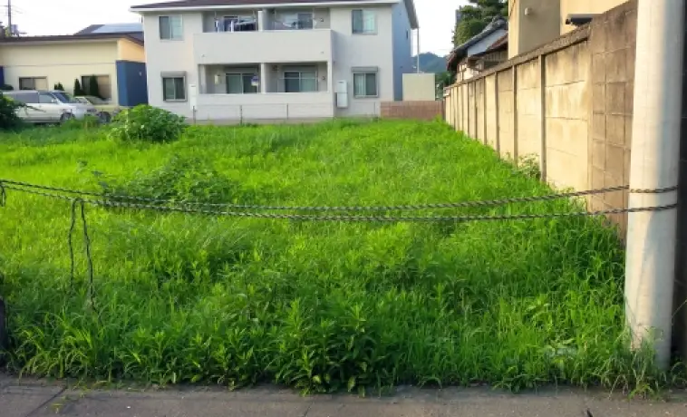 雑草が生い茂った空き地