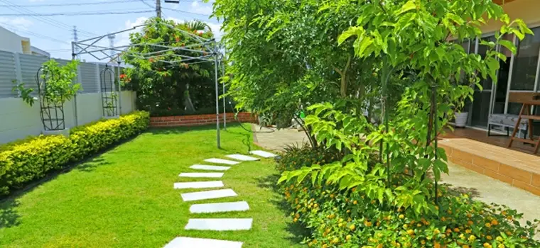 美観が維持された庭の写真