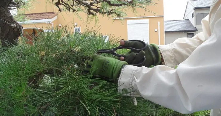 作業確認後の手直し