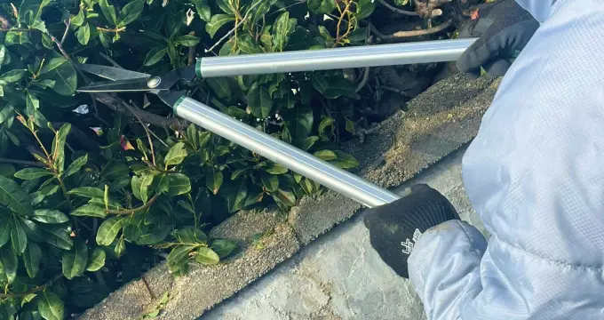 植木剪定・生垣刈込