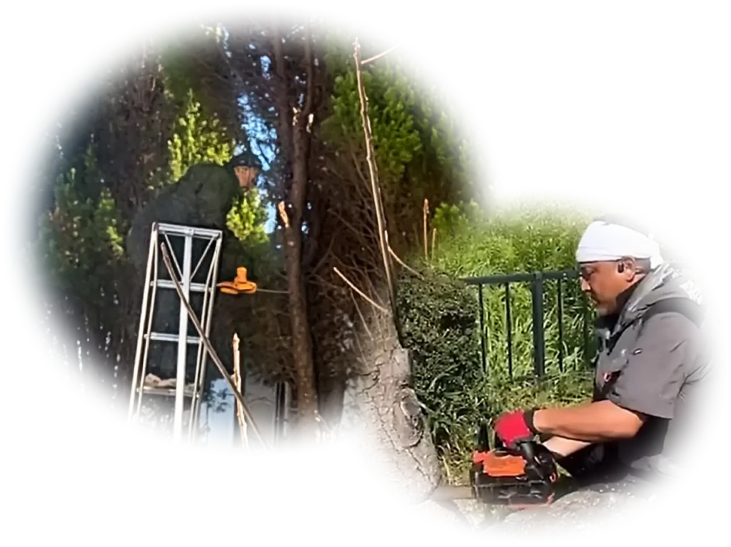 作業をしているスタッフ