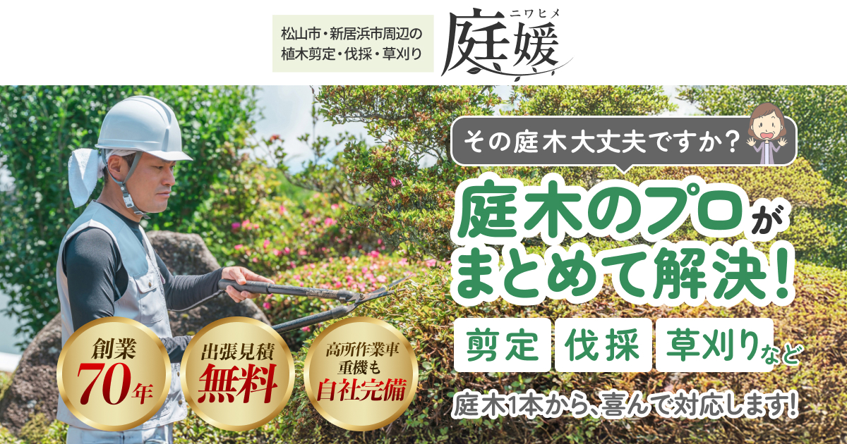 害虫駆除・ハチ駆除の事例一覧 | 松山市・新居浜市の植木のことは庭媛へ