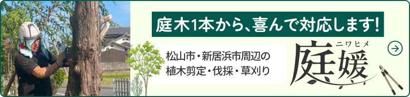 庭木1本から、喜んで対応します！松山市・新居浜市周辺の植木剪定・伐採・草刈り 庭媛